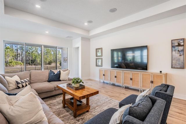 3378 TOUR TRACE, Land O Lakes, FL 34638