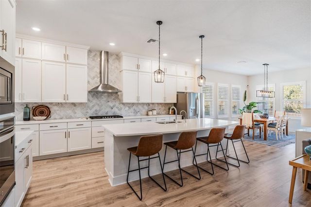 3378 TOUR TRACE, Land O Lakes, FL 34638