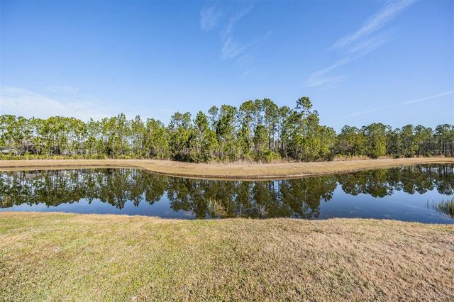 3378 TOUR TRACE, Land O Lakes, FL 34638