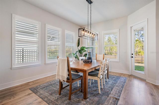 3378 TOUR TRACE, Land O Lakes, FL 34638