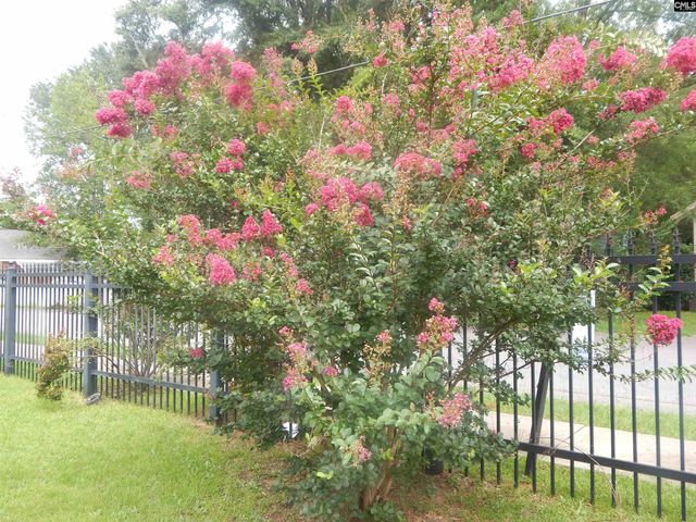 1121 Oconee Street, Columbia, SC 29201