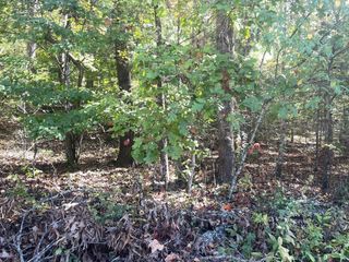 Lot 42 Hiawassee Lake Est, Hiawassee, GA 30546