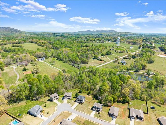 6064 Creekside View Lane, Clermont, GA 30527