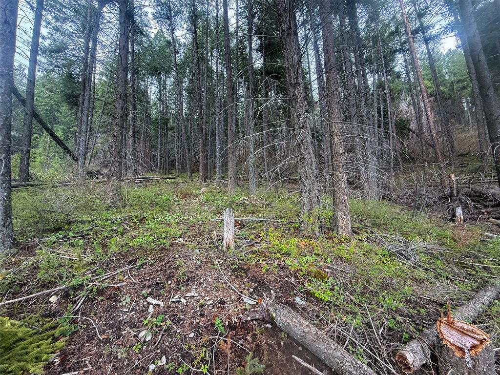 N/A Hwy 35, Polson, MT 59860 photo 13