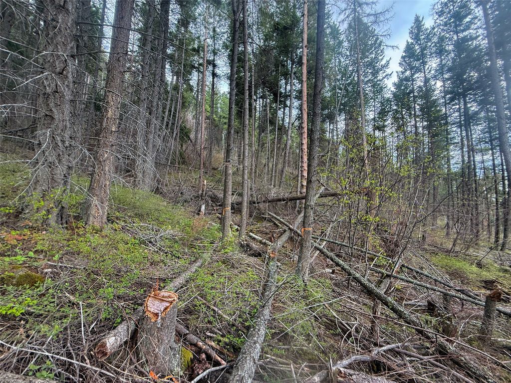 N/A Hwy 35, Polson, MT 59860 photo 14