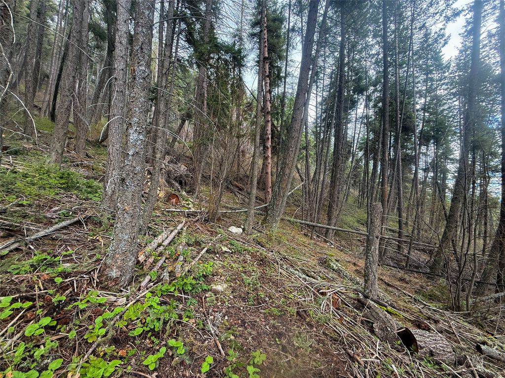 N/A Hwy 35, Polson, MT 59860 photo 15