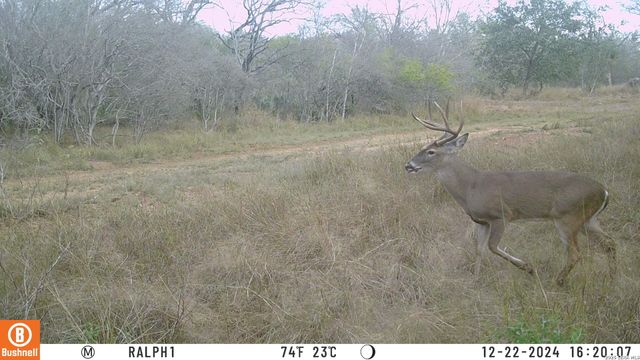 TBD Ralph Coughran, Pleasanton, TX 78064