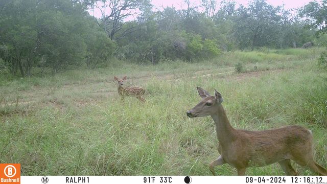 TBD Ralph Coughran, Pleasanton, TX 78064