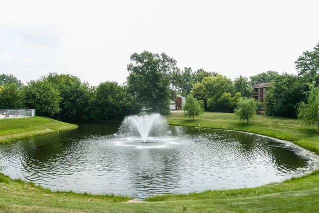 1275 E Baldwin Lane 306, Palatine, IL 60074