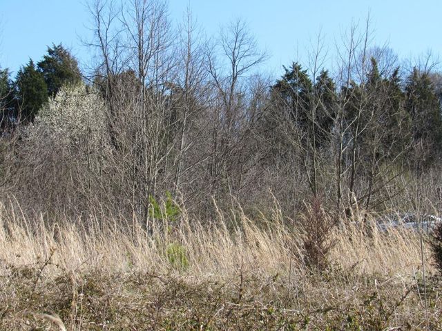 Lot 6 Rock Springs Road, Kingsport, TN 37664