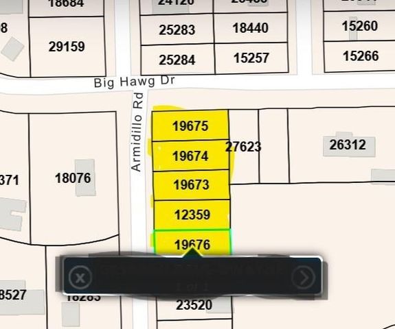 000 Armadillo Drive, Trinity, TX 75862