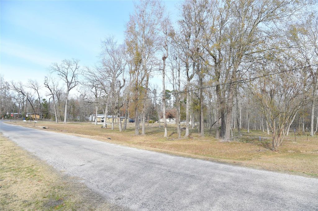 000 Armadillo Drive, Trinity, TX 75862