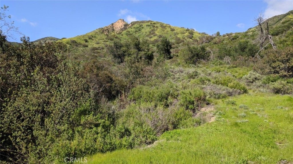 30221 4 Lot Old Stage Road, Trabuco Canyon, CA 92676 — exterior