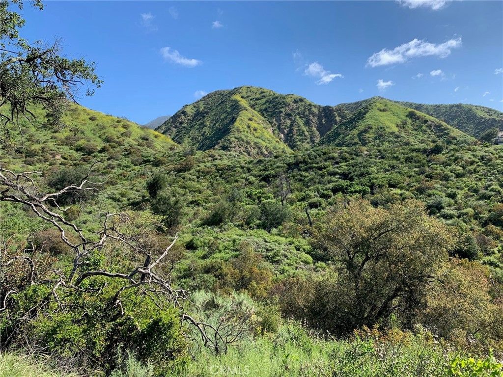 30221 4 Lot Old Stage Road, Trabuco Canyon, CA 92676 — photo 3