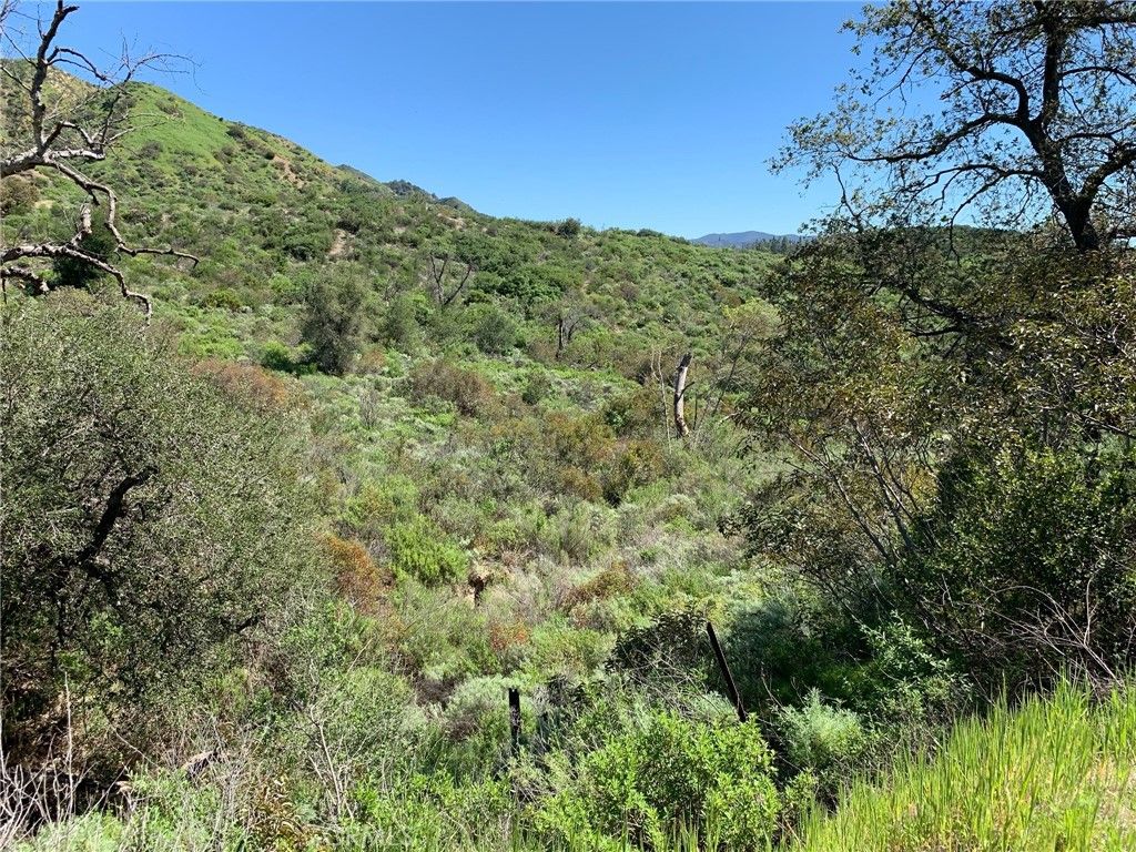 30221 4 Lot Old Stage Road, Trabuco Canyon, CA 92676 — photo 5