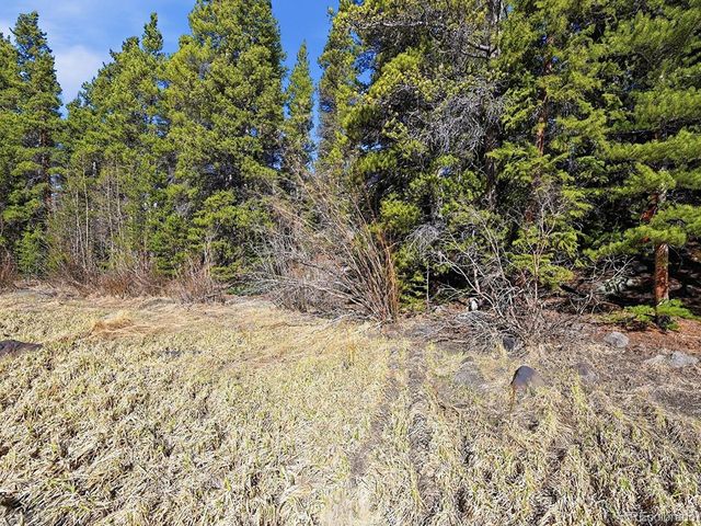 36 Overlook Ct, Idaho Springs, CO 80452