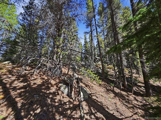 36 Overlook Ct, Idaho Springs, CO 80452