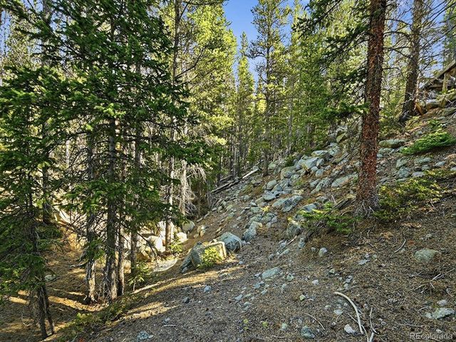 36 Overlook Ct, Idaho Springs, CO 80452