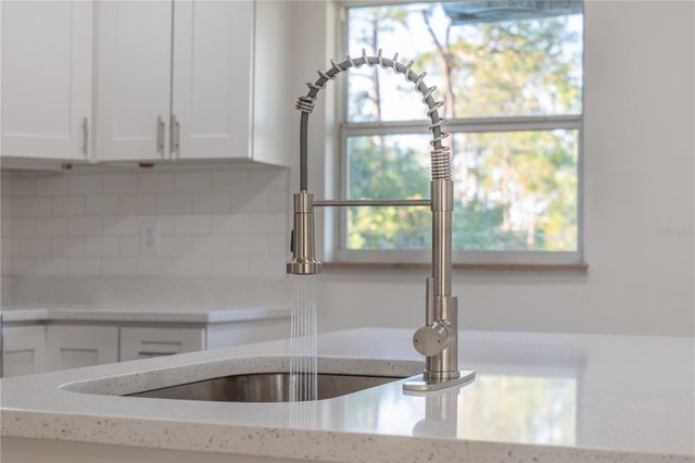 245 AMADOR CIRCLE, Orlando, FL 32810