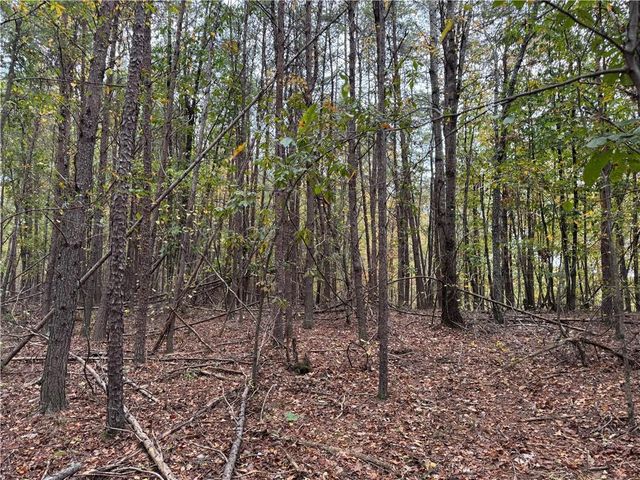 0 Cagle Road, Fairmount, GA 30139