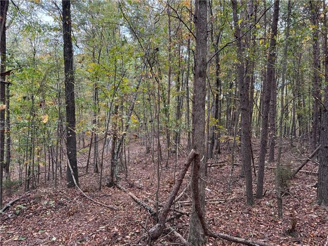 0 Cagle Road, Fairmount, GA 30139