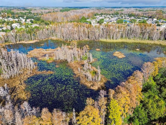 19411 RANCHVIEW COURT, Land O Lakes, FL 34638