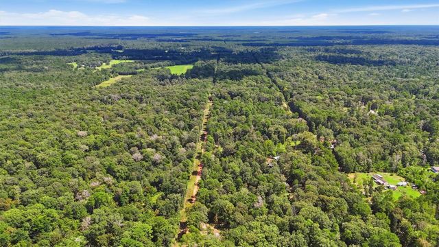 0 Josephine Road, Livingston, TX 77351