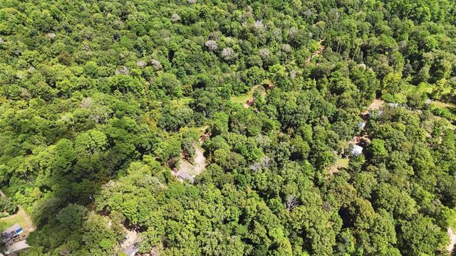 0 Josephine Road, Livingston, TX 77351