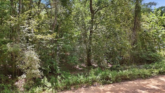 0 Josephine Road, Livingston, TX 77351