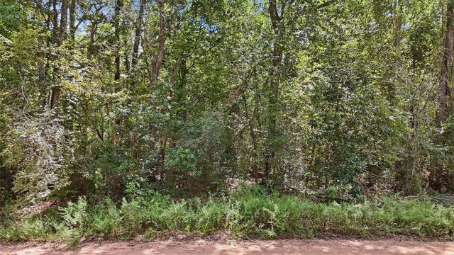 0 Josephine Road, Livingston, TX 77351