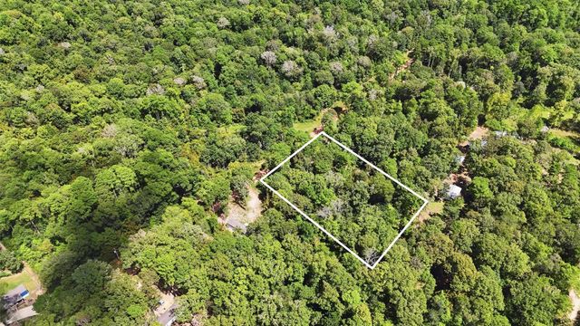 0 Josephine Road, Livingston, TX 77351