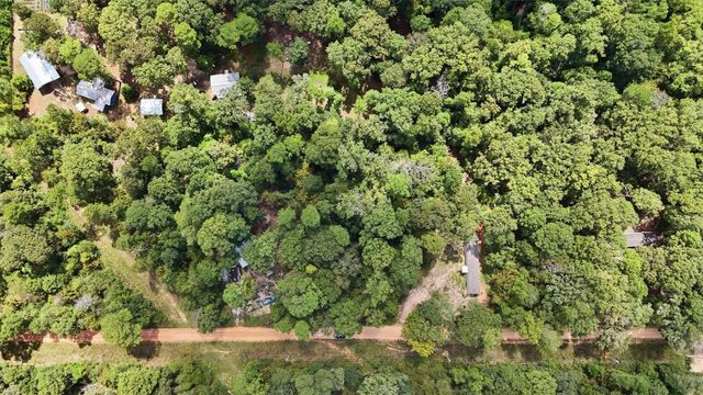0 Josephine Road, Livingston, TX 77351