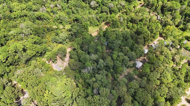 0 Josephine Road, Livingston, TX 77351