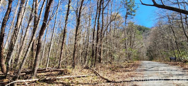 0 Buffalo Creek Road 74, Lake Lure, NC 28746