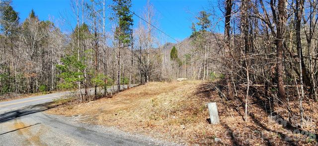 0 Buffalo Creek Road 74, Lake Lure, NC 28746