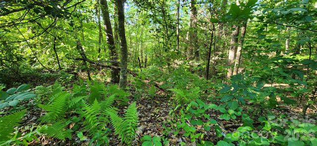 0 Buffalo Creek Road 74, Lake Lure, NC 28746