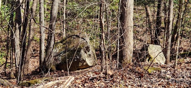 0 Buffalo Creek Road 74, Lake Lure, NC 28746