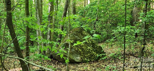 0 Buffalo Creek Road 74, Lake Lure, NC 28746