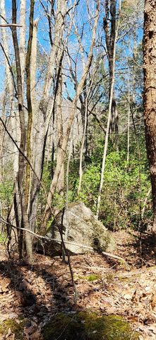 0 Buffalo Creek Road 74, Lake Lure, NC 28746