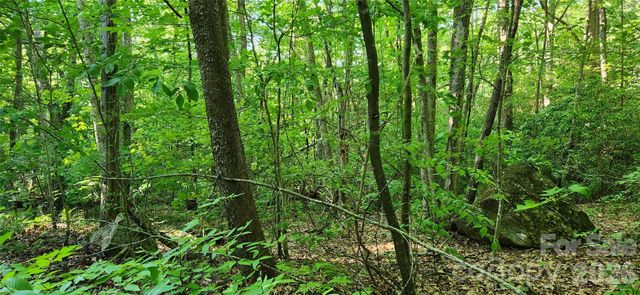 0 Buffalo Creek Road 74, Lake Lure, NC 28746