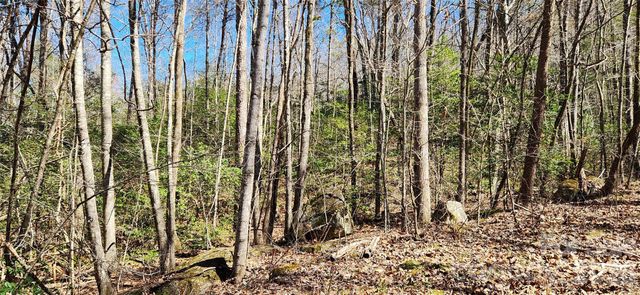 0 Buffalo Creek Road 74, Lake Lure, NC 28746