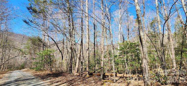 0 Buffalo Creek Road 74, Lake Lure, NC 28746