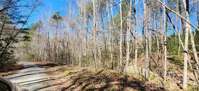 0 Buffalo Creek Road 74, Lake Lure, NC 28746