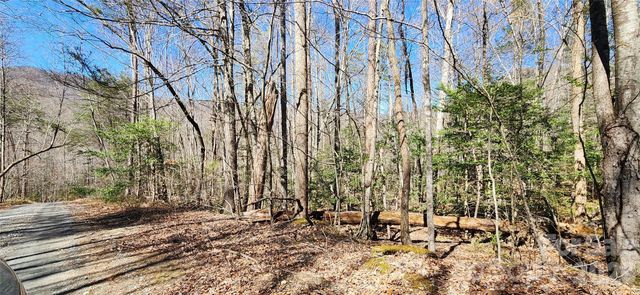 0 Buffalo Creek Road 74, Lake Lure, NC 28746