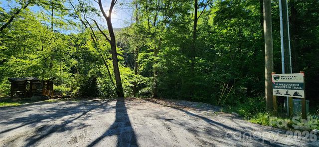 0 Buffalo Creek Road 74, Lake Lure, NC 28746