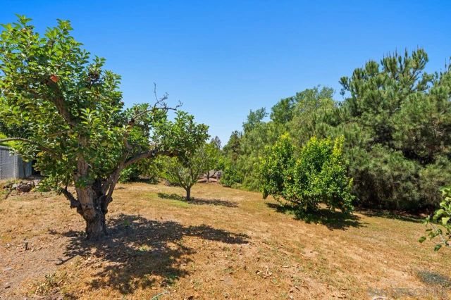 506 Deerhaven St, El Cajon, CA 92019