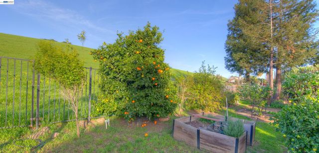 35172 King Ct., Fremont, CA 94536