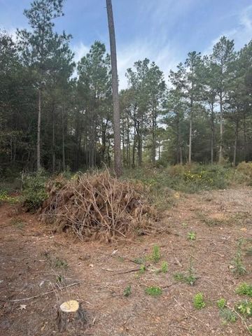 0 Basswood Lane, Plantersville, TX 77363