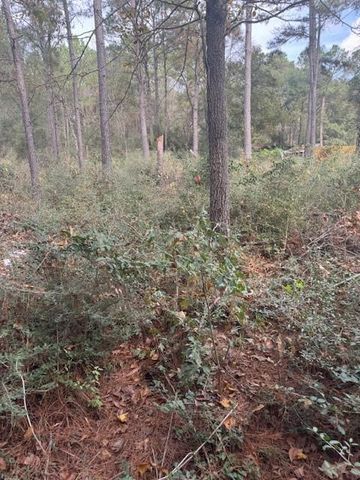 0 Basswood Lane, Plantersville, TX 77363