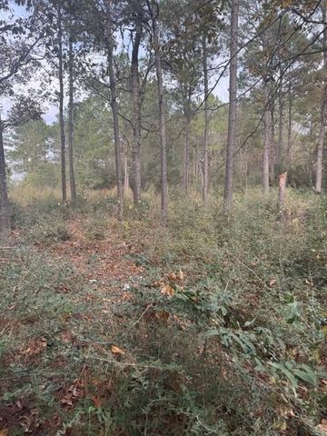 0 Basswood Lane, Plantersville, TX 77363